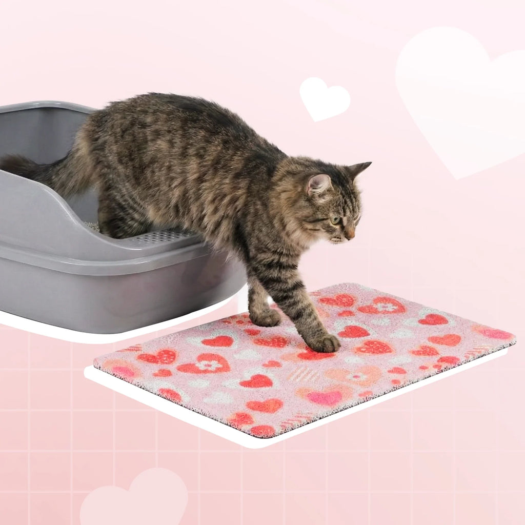 VIP 300 Meow Coins + $19.9 For Sweetie Heart Cat Litter Mat
