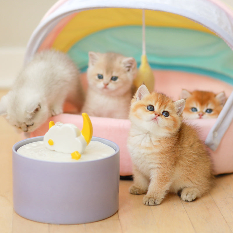 Cat Water Fountain Blind Box