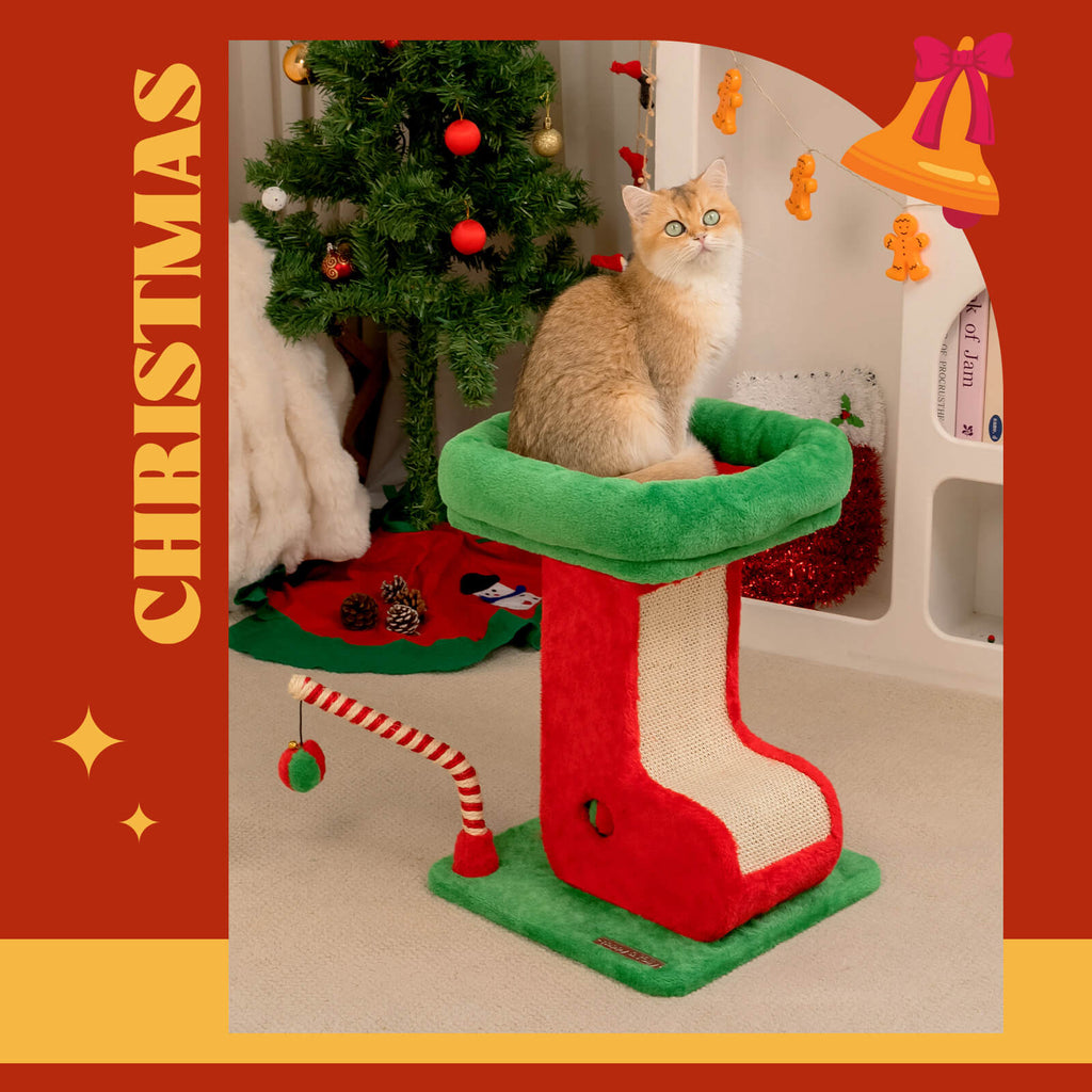 Pure Christmas Classic Bundle
