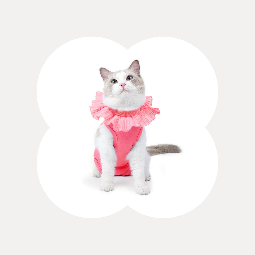 Soft Cotton Post-Surgery Cat Recovery Suit