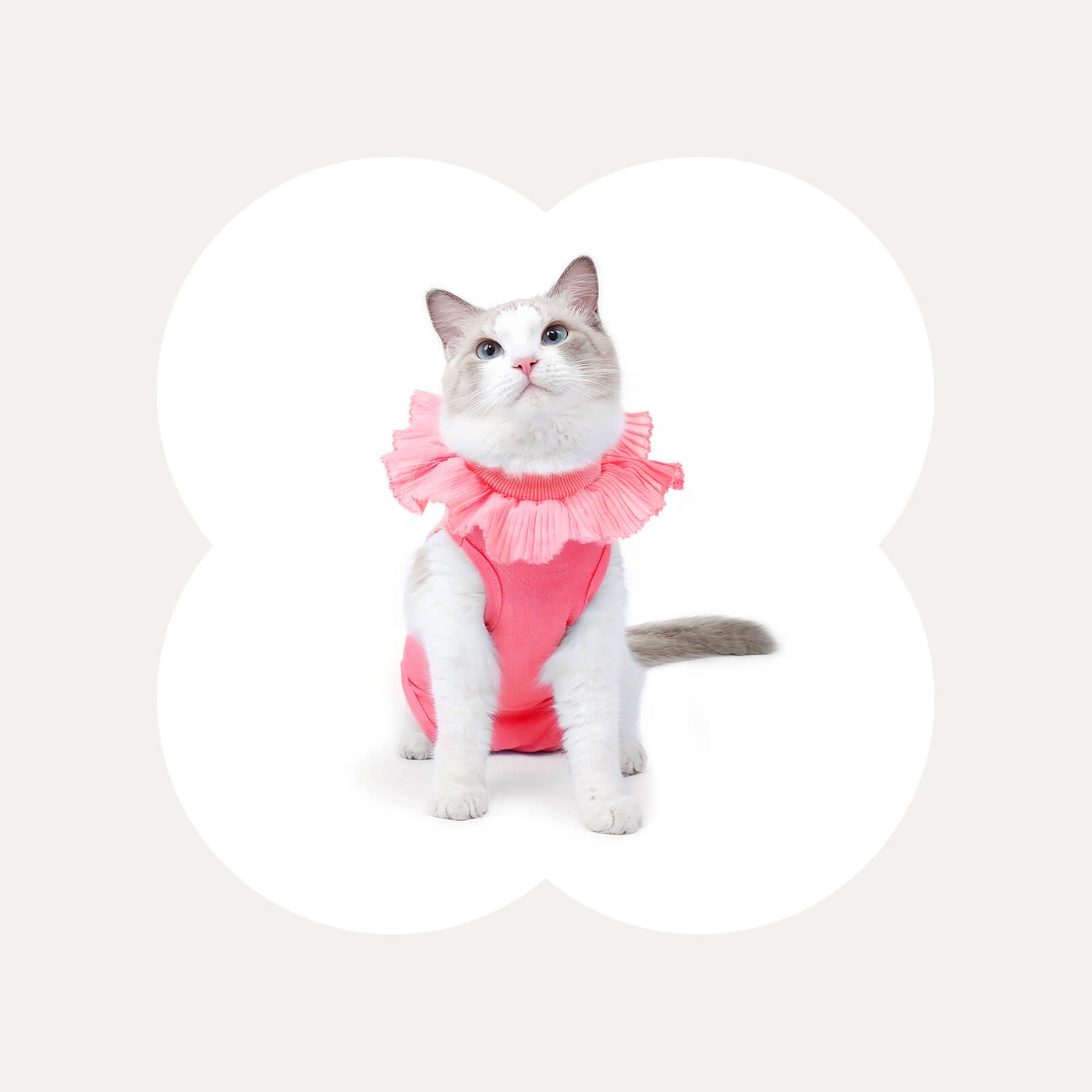 Soft Cotton Post-Surgery Cat Recovery Suit