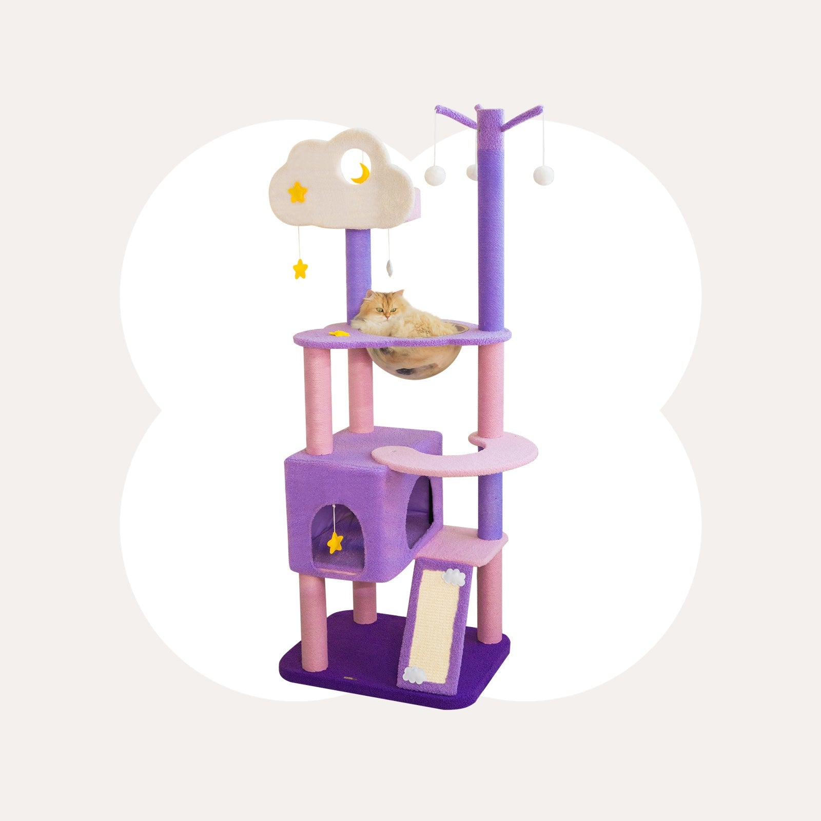Purple Moonlight Series Set