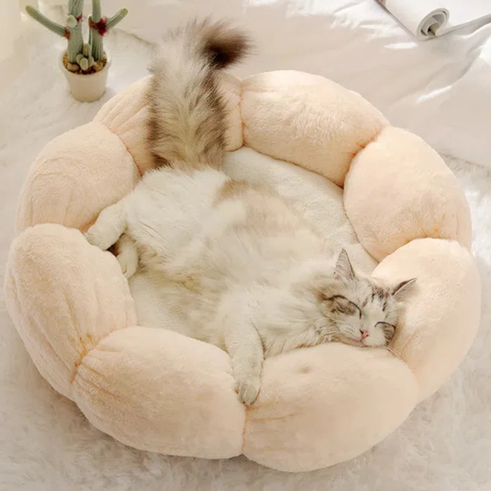 Bloomy Flower Cozy Plush Cat Bed