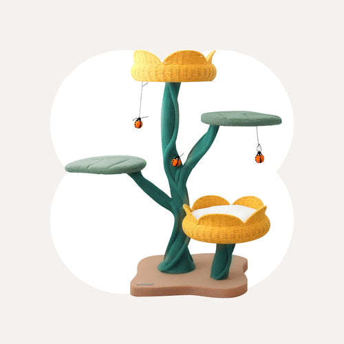Blooming Elegance Bundle