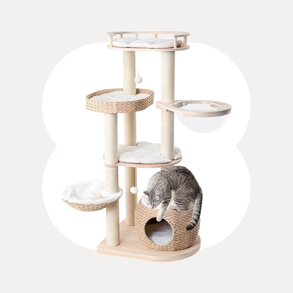 Whispering Hollow Cat Tree