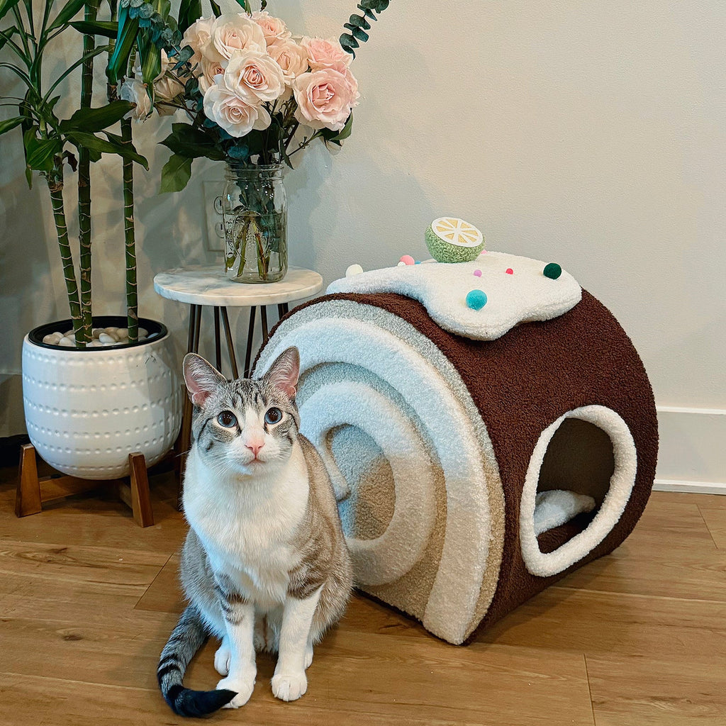 Cat Bed Blind Box