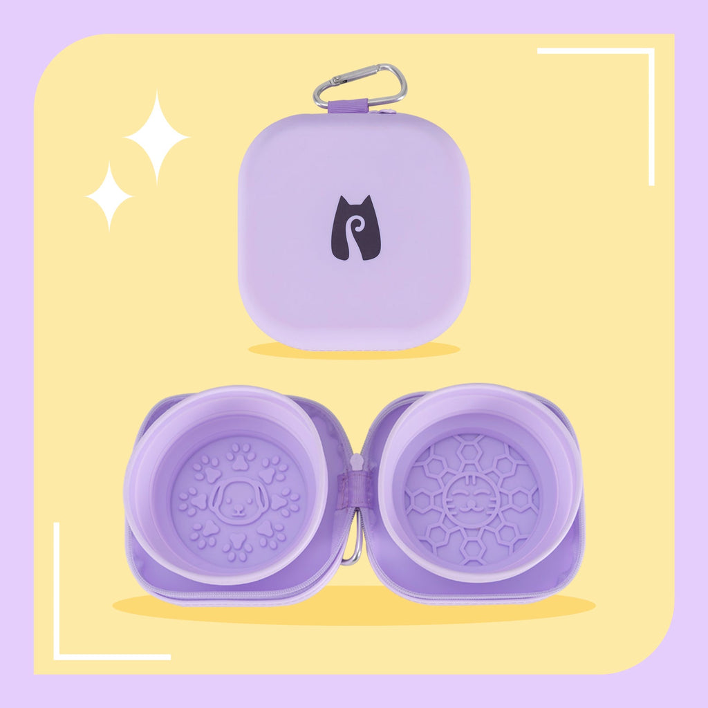 20oz Portable Double Cat Bowl