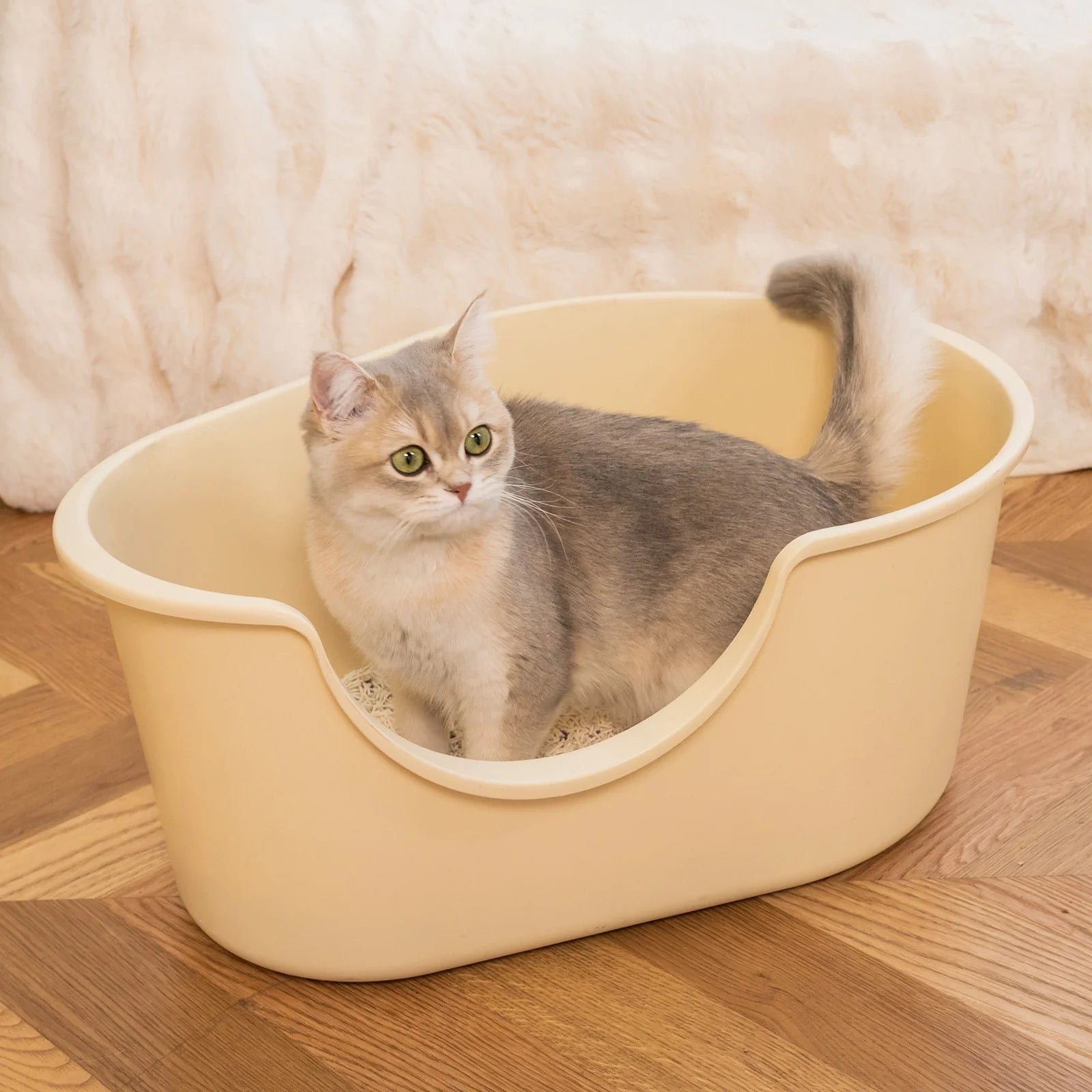 Dual-Mineral Odor Guard Cat Litter Deodorizer