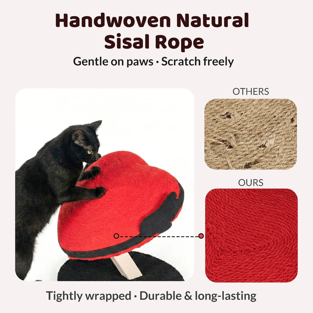 VIP 500 Meow Coins + $29.9 For Flying Heart Cat Scratcher