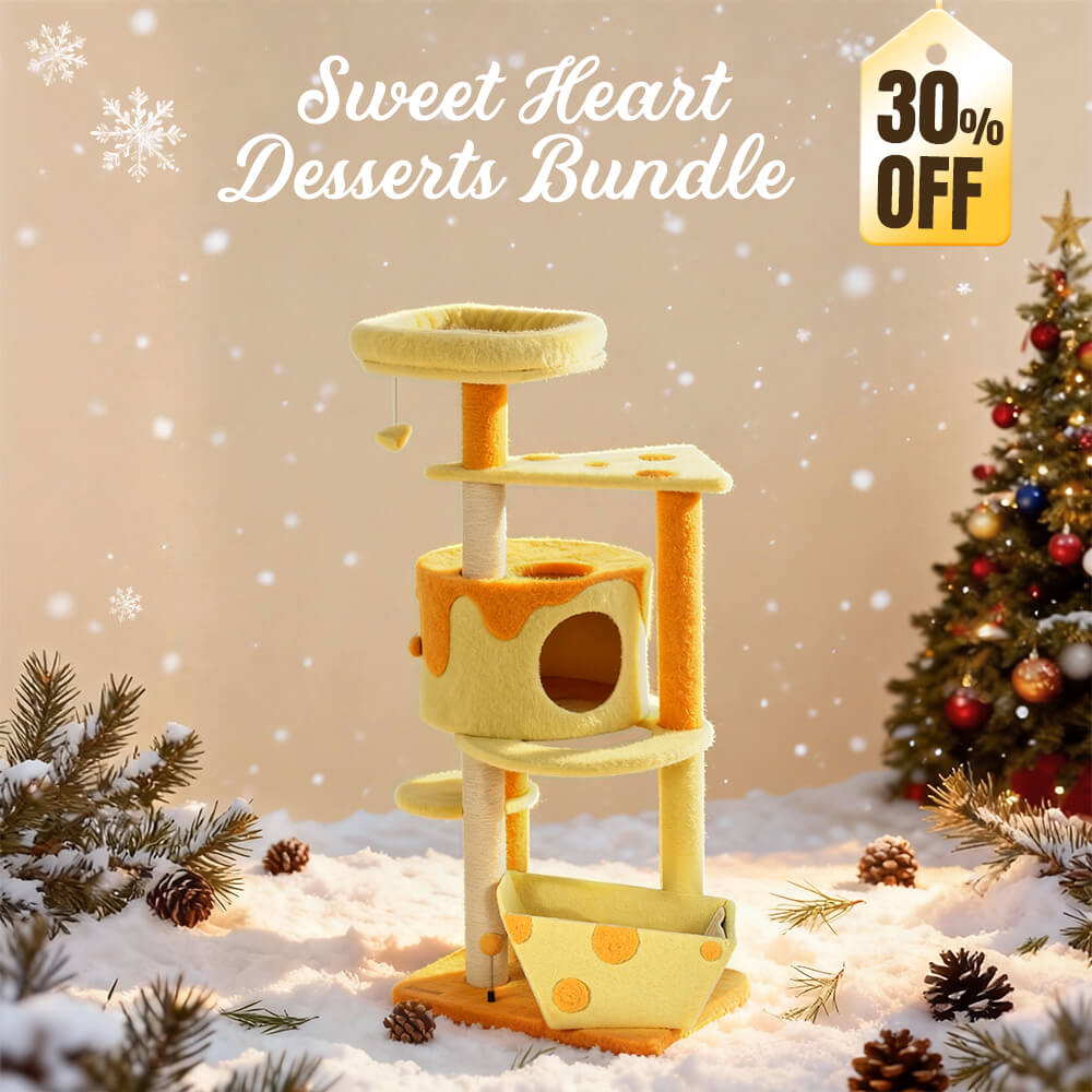 Sweetheart Desserts Bundle