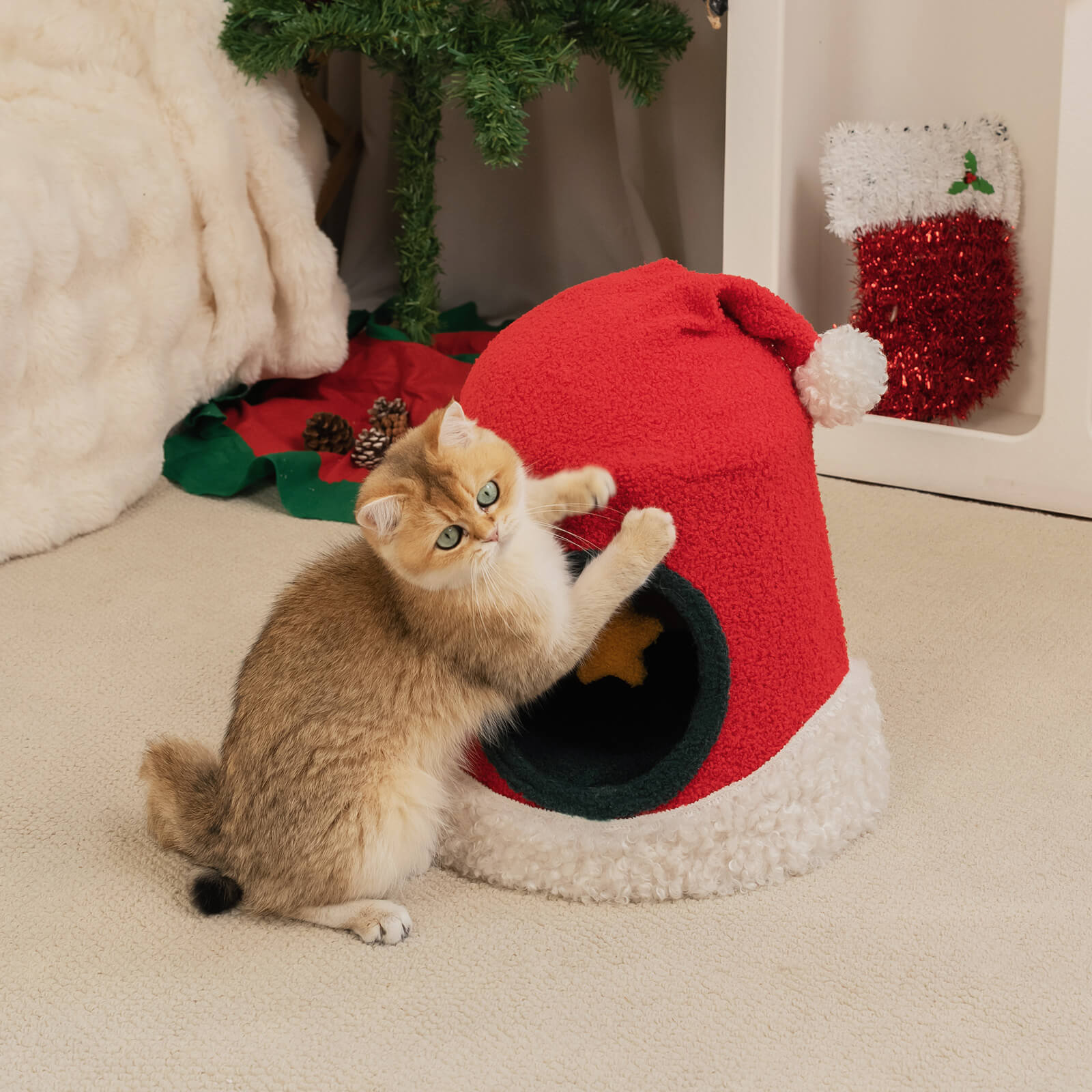 VIP 500 Meow Coins + $44.99 For Christmas Santa Hat Cat Bed