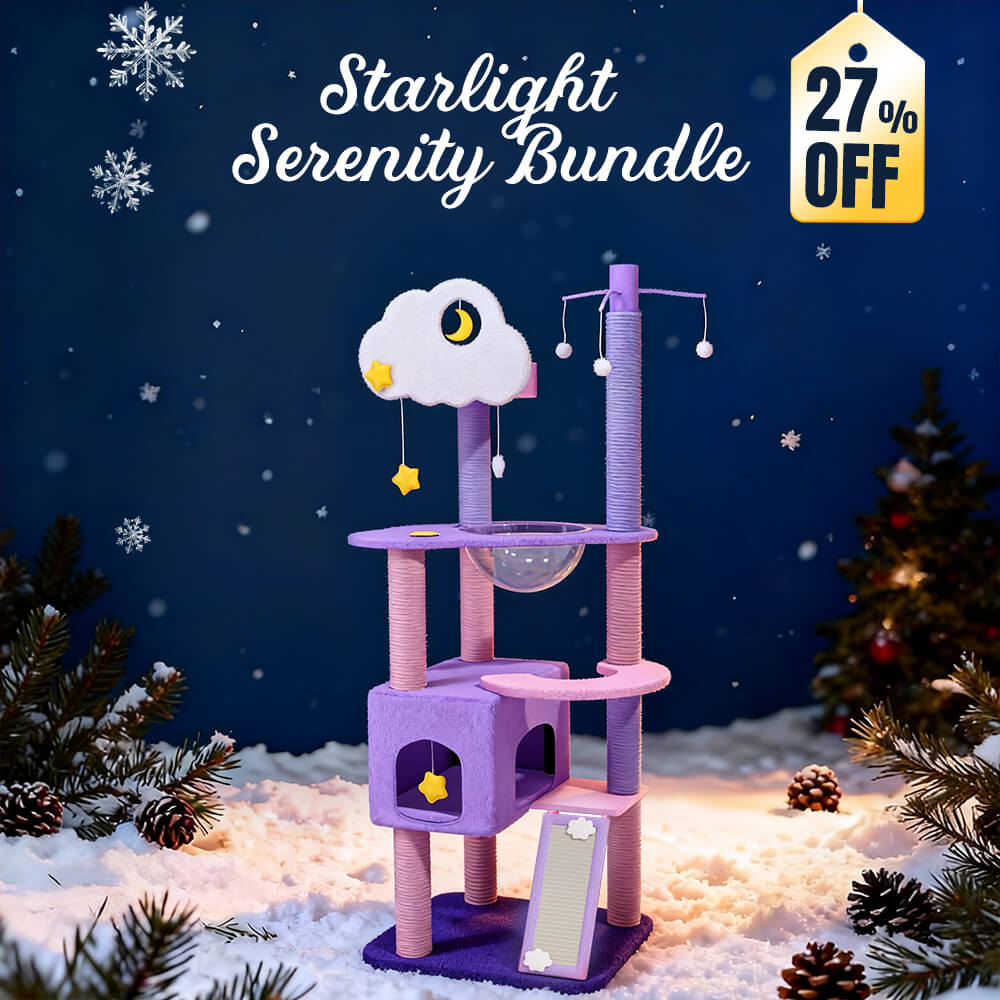 Starlight Serenity Bundle