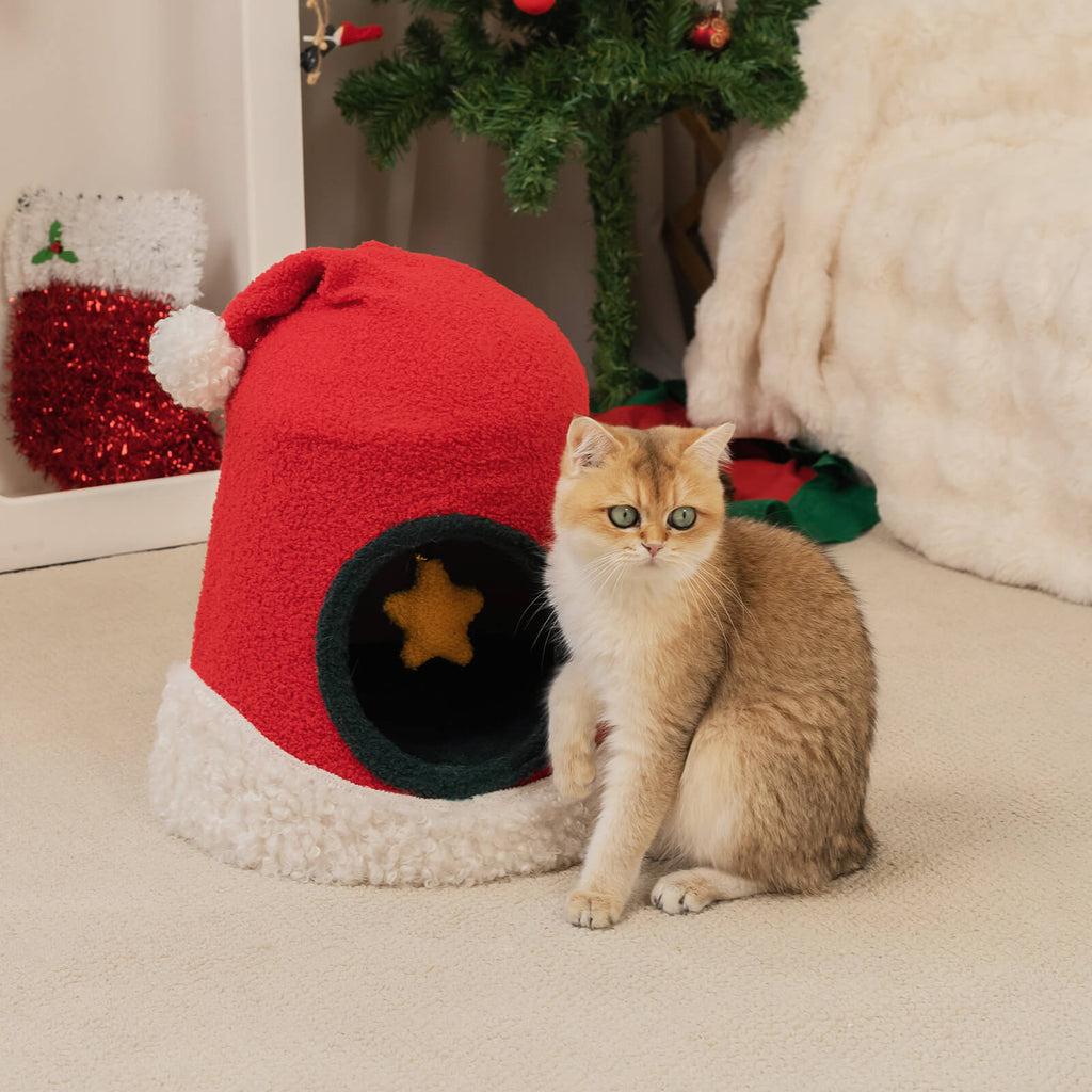 Cat Bed Blind Box