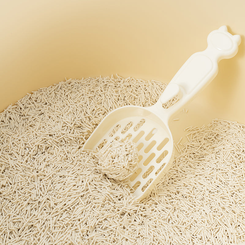 Never Run Out: Cat Litter Subscription