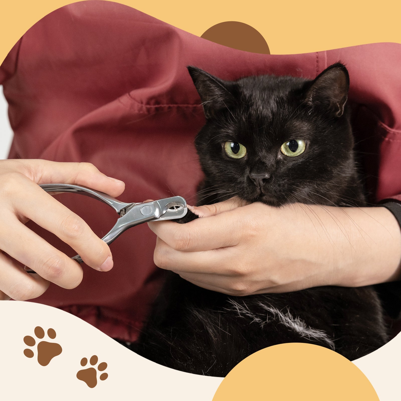 Stainless Steel Pet Nail Clipper with Nail File