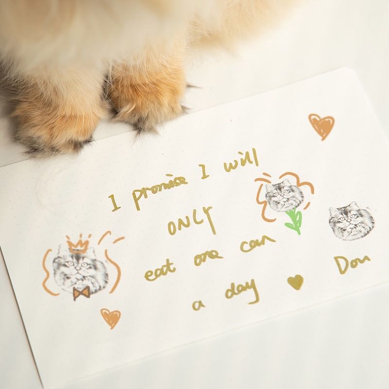 Charity Custom Portrait Stamp | Every Order Donates 1lb Cat Litter