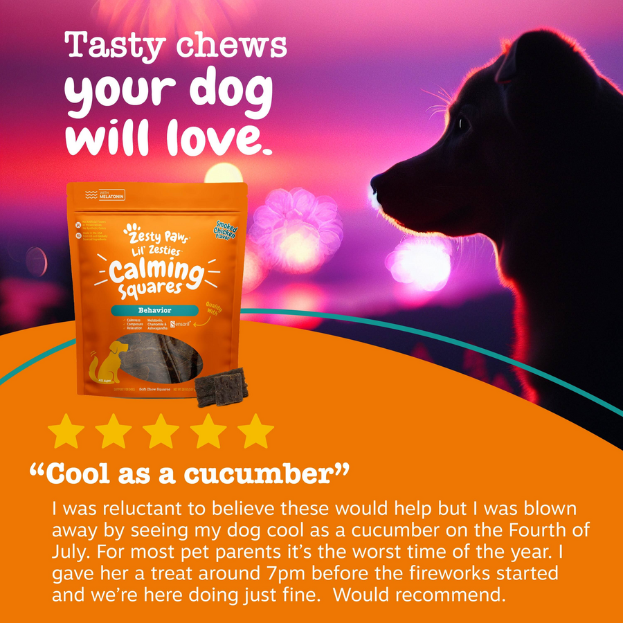 Lil' Zesties™ Calming Squares™ for Dogs