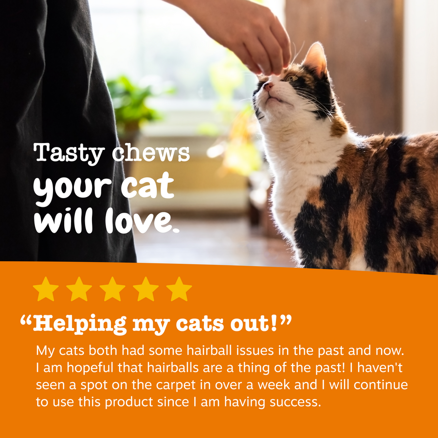 Hairball Bites™ for Cats