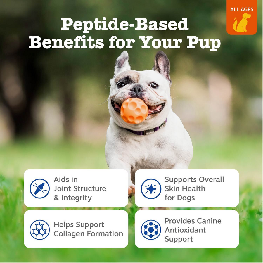 Multi-Collagen Bites™ for Dogs