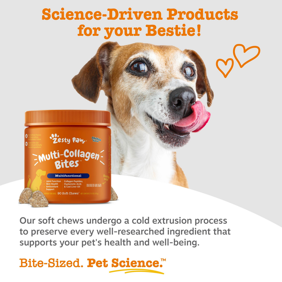 Multi-Collagen Bites™ for Dogs