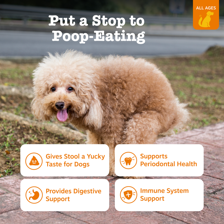 Chew No Poo Bites™ for Dogs