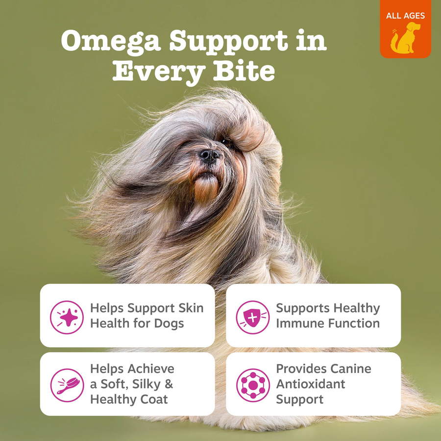 Skin & Coat Bites + Salmon Oil Soft Chews for Dogs