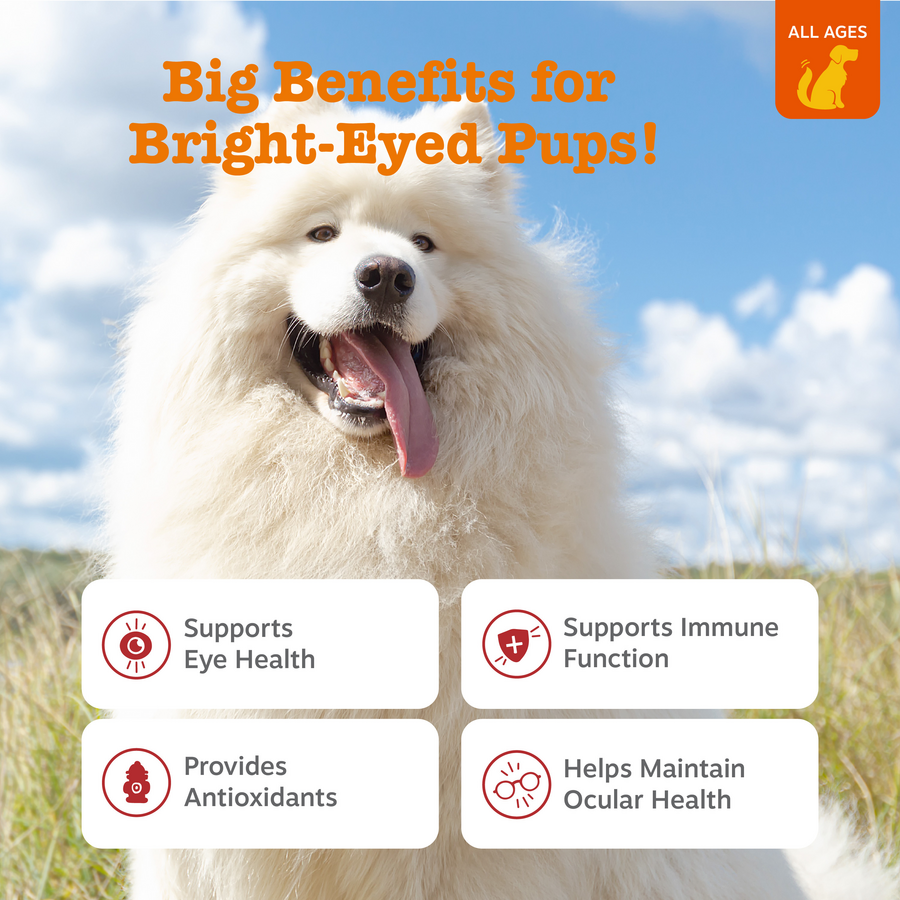 Tear Stain Bites For Dogs