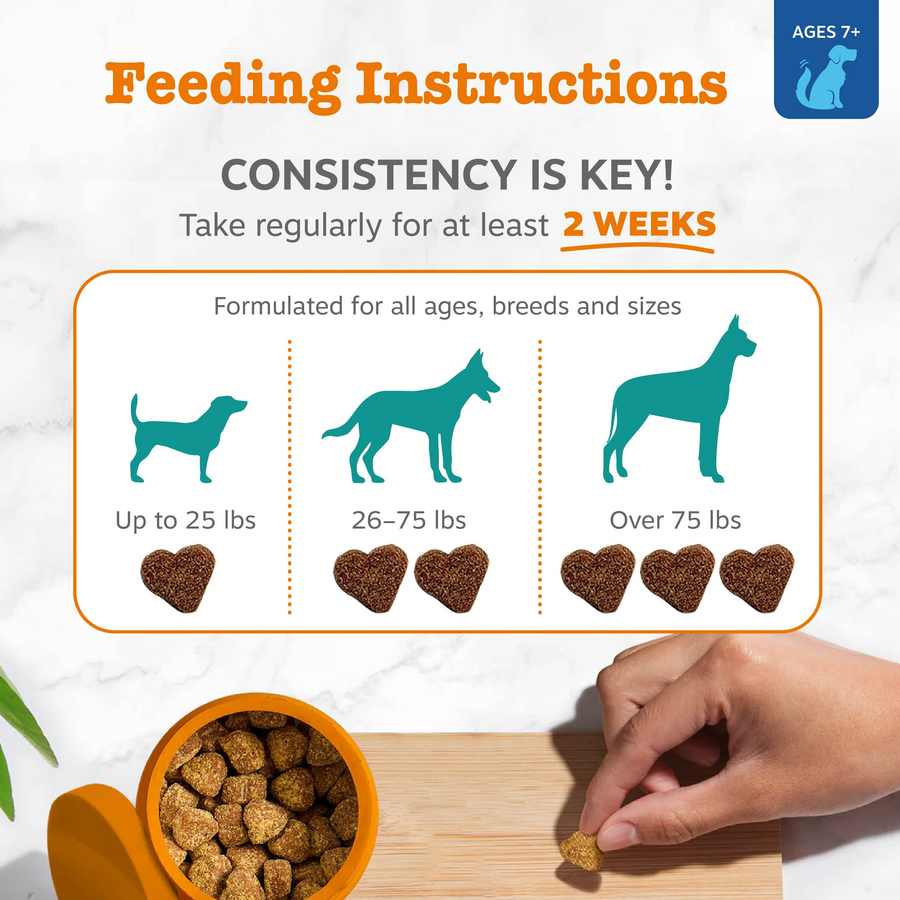 Senior Advanced Calming & Cognition Bites™ for Dogs