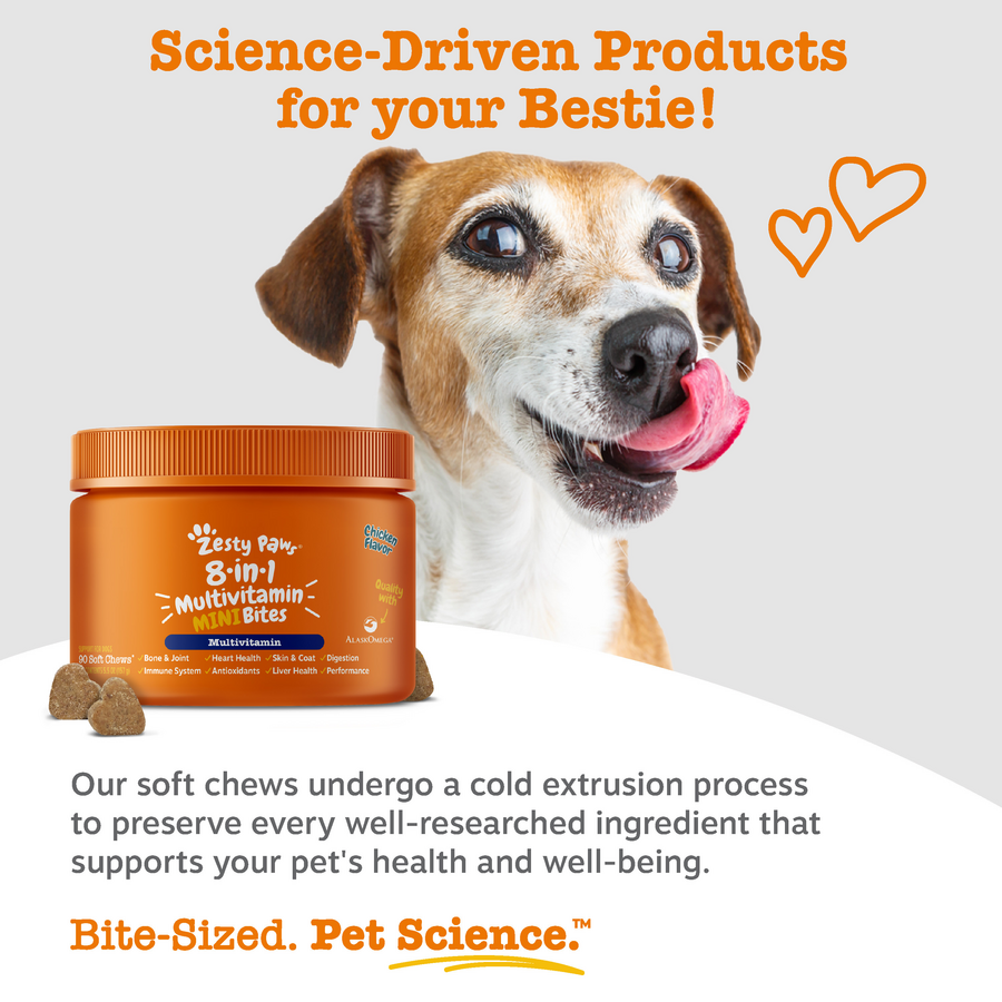 8-in-1 Multivitamin Mini Bites for Small Dogs