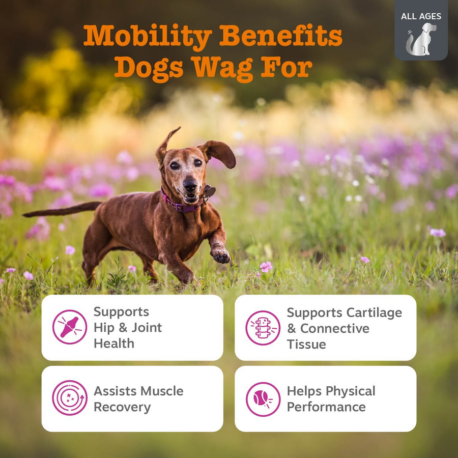 Vet Strength Hip & Joint Bites for Dogs