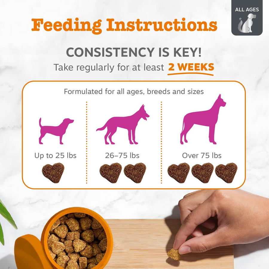 Vet Strength Hip & Joint Bites for Dogs