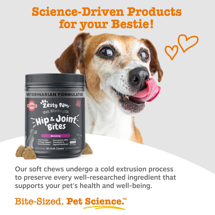 Vet Strength Hip & Joint Bites for Dogs
