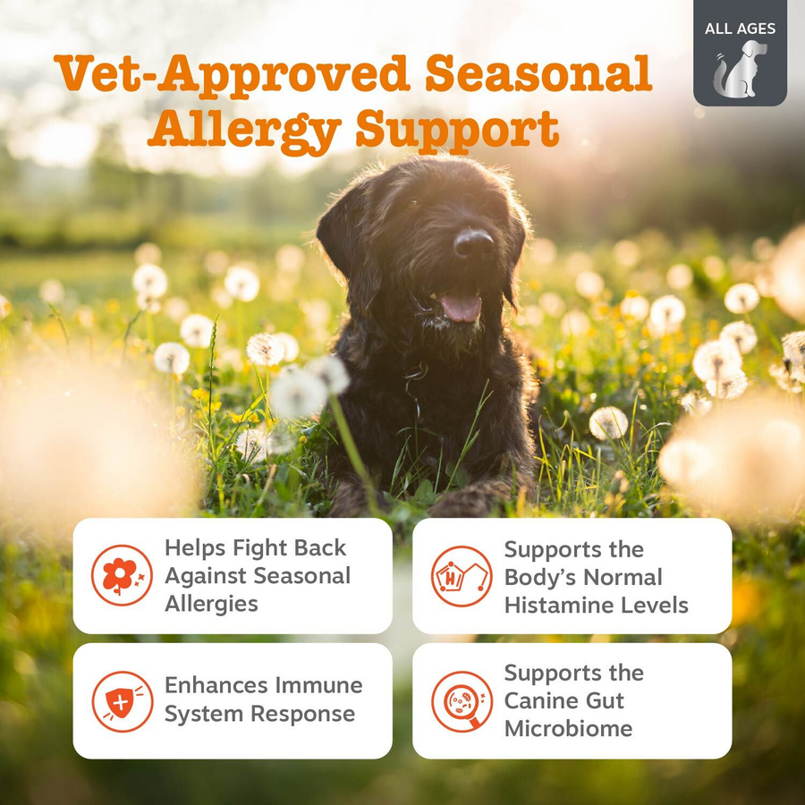 Vet Strength Allergy & Immune Bites for Dogs