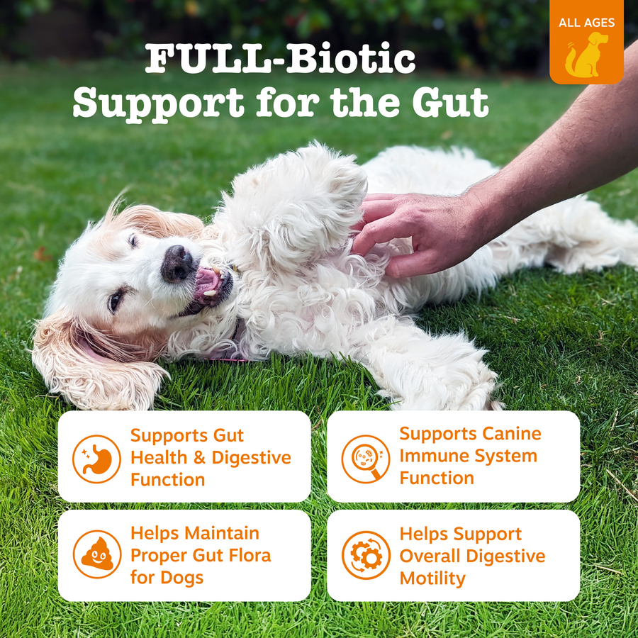Vet Strength Pre, Post & Probiotic Bites for Dogs