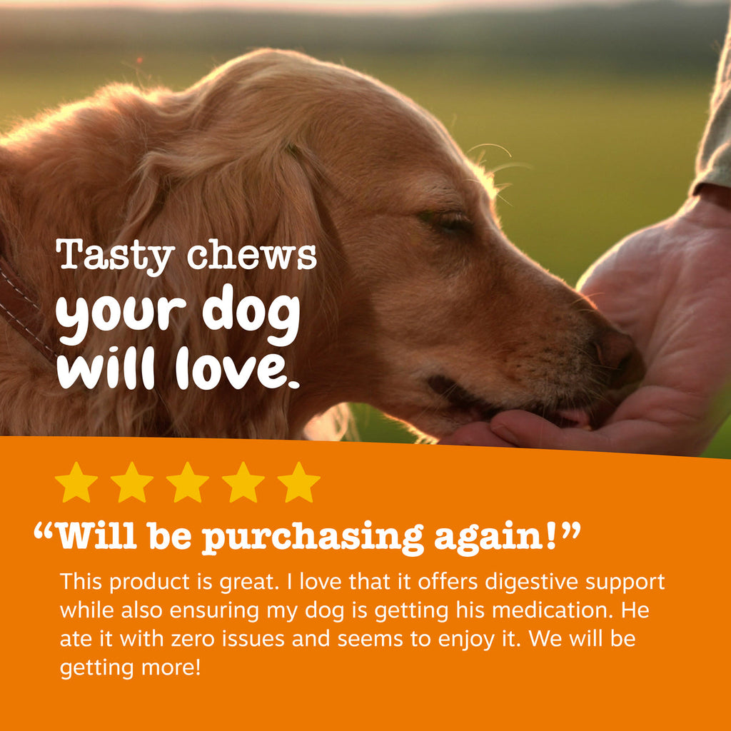 Pill Wrap Probiotic Paste for Dogs