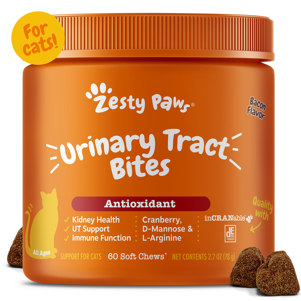 Urinary Tract Bites for Cats
