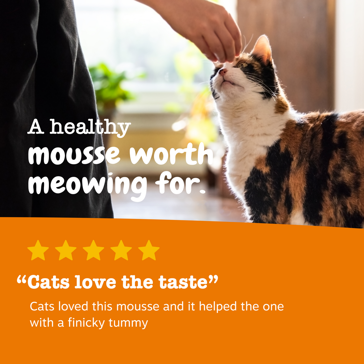 Digestion Cat Mousse