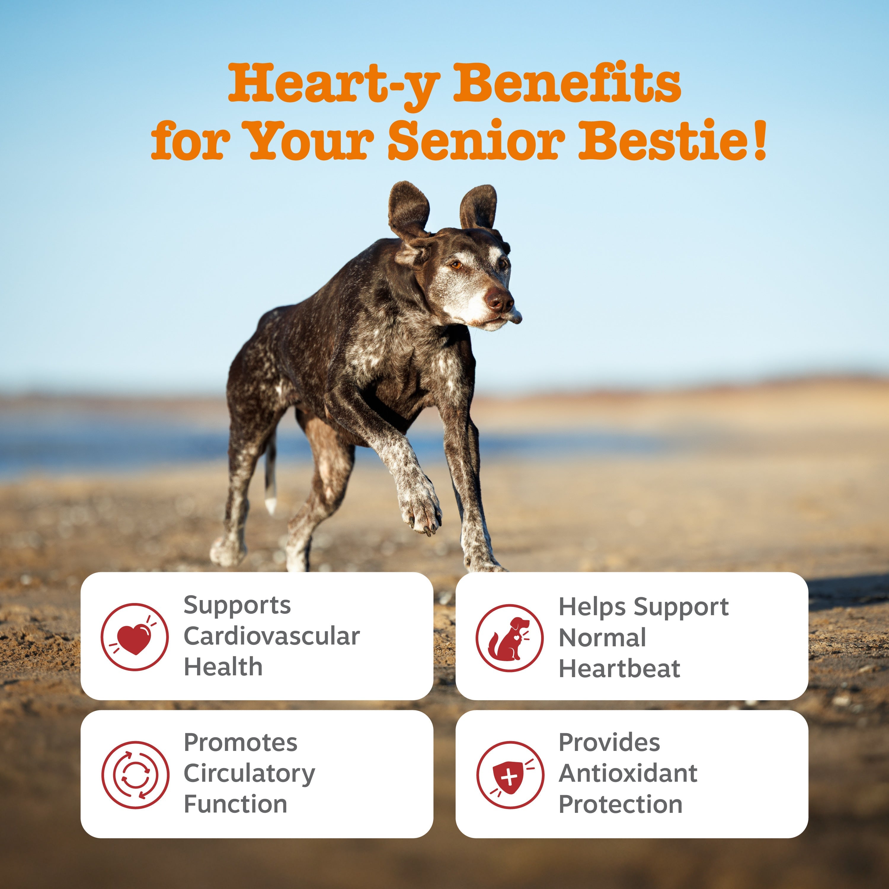 Senior Advanced Cardio Bites for Dogs