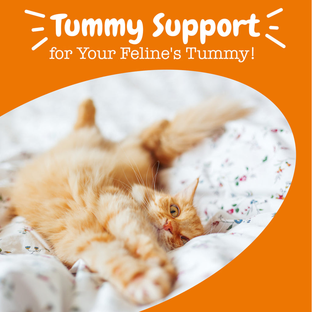 Probiotic Powder for Cats