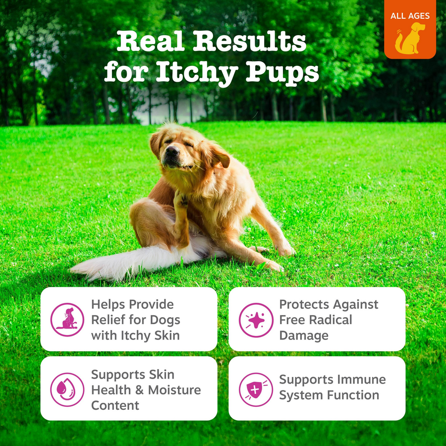 Itch Relief Bites™ for Dogs