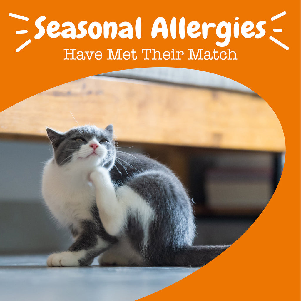 Allergy & Immune Cat Mousse