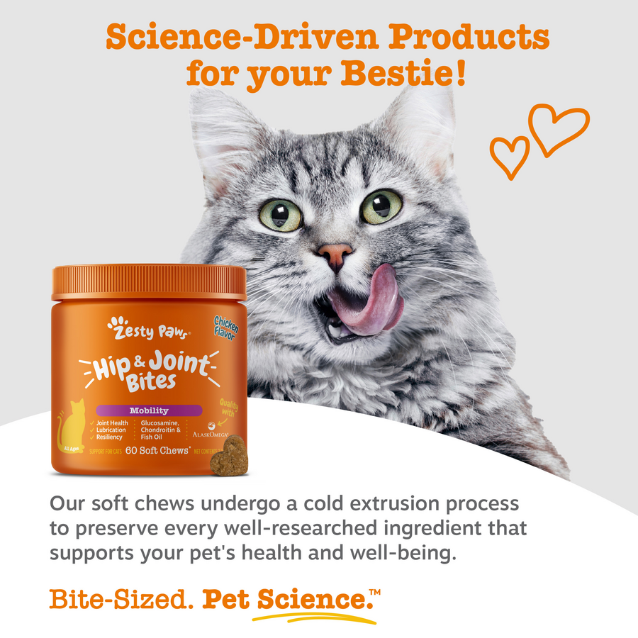 Hip & Joint Bites for Cats