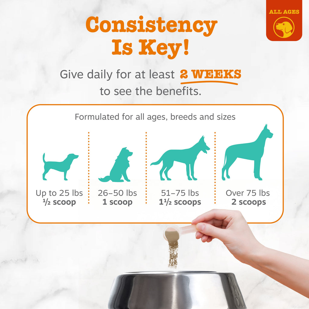 Dental Probiotic Powder for Dogs