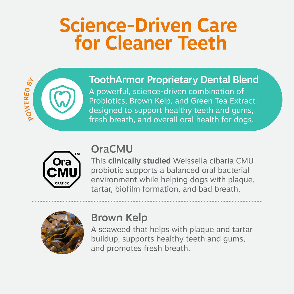 Dental Probiotic Powder for Dogs