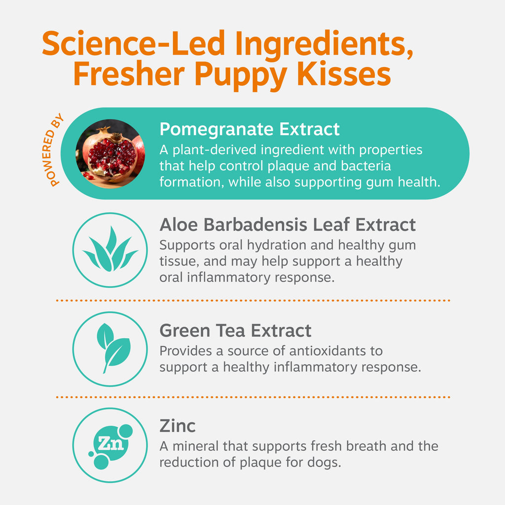 Daily Dental Water Additive for Dogs