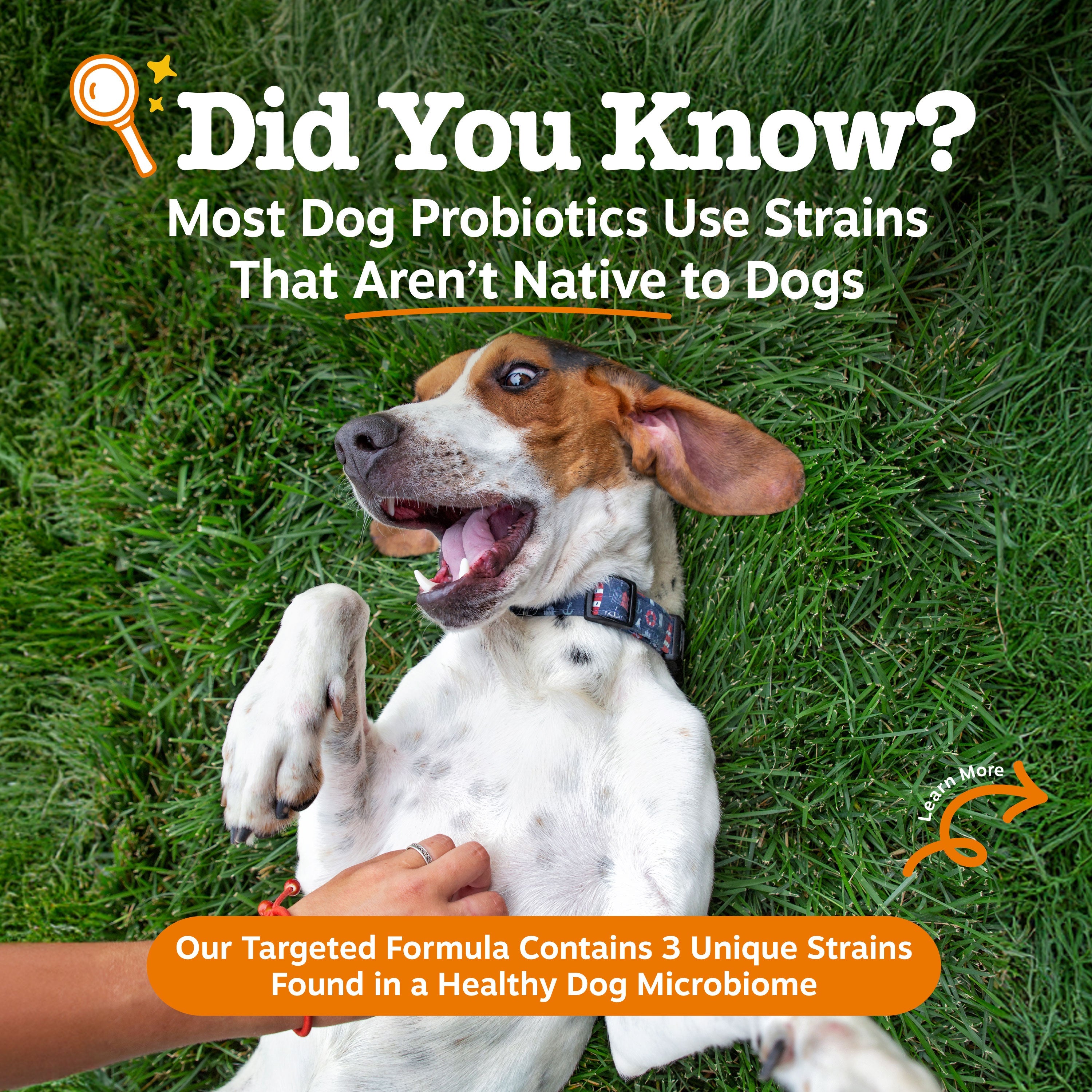 Vet Strength Native Canine Probiotic Powder