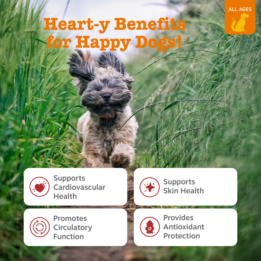 Cardio Bites™ for Dogs