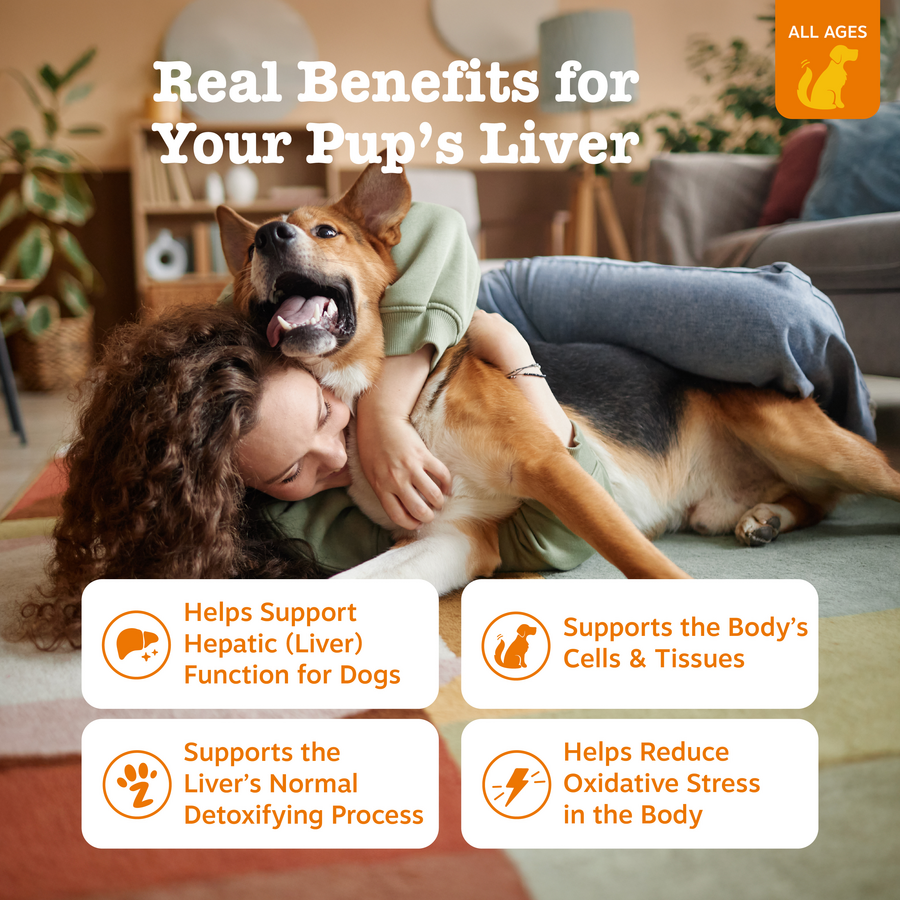 Liver Support Bites™ for Dogs