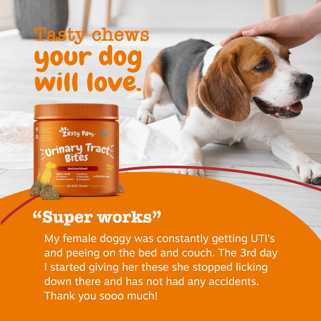 Urinary Tract Bites for Dogs