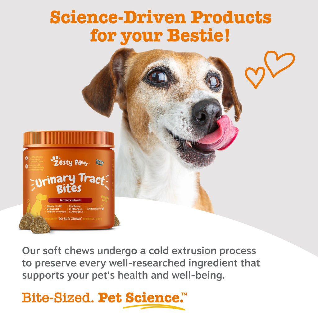 Urinary Tract Bites for Dogs